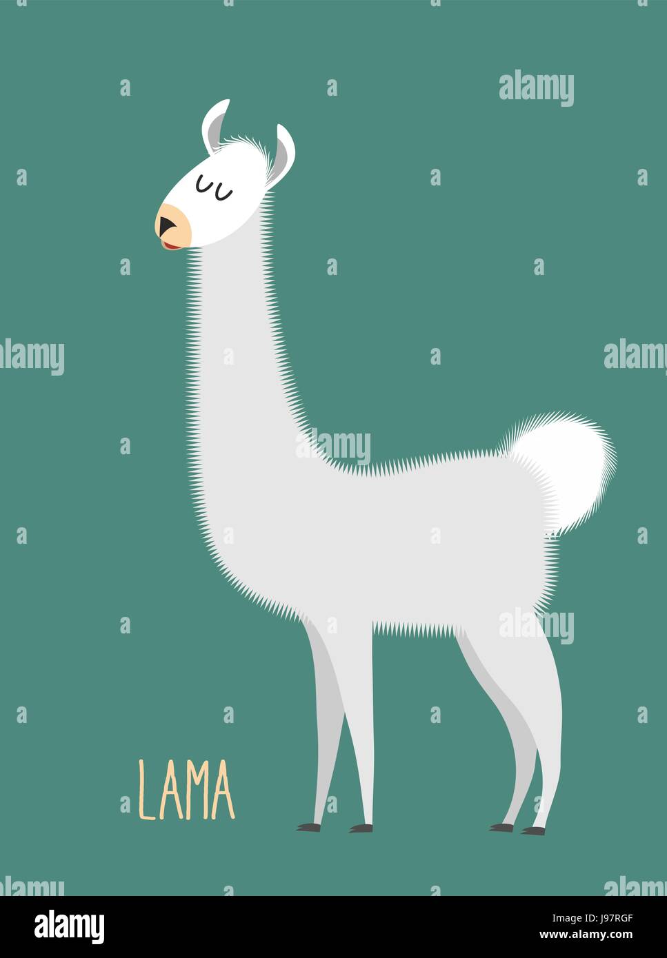 Llama Alpaca. Lama animal sur un fond vert. Vector illustration Illustration de Vecteur