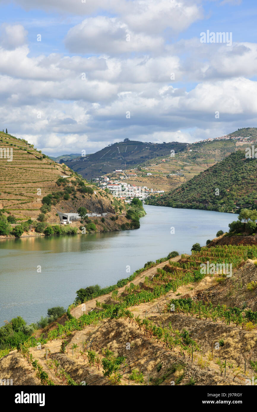 Le Douro et les vignobles en terrasses du Port Wine près de Pinhão. Site du patrimoine mondial de l'Unesco, Portugal Banque D'Images