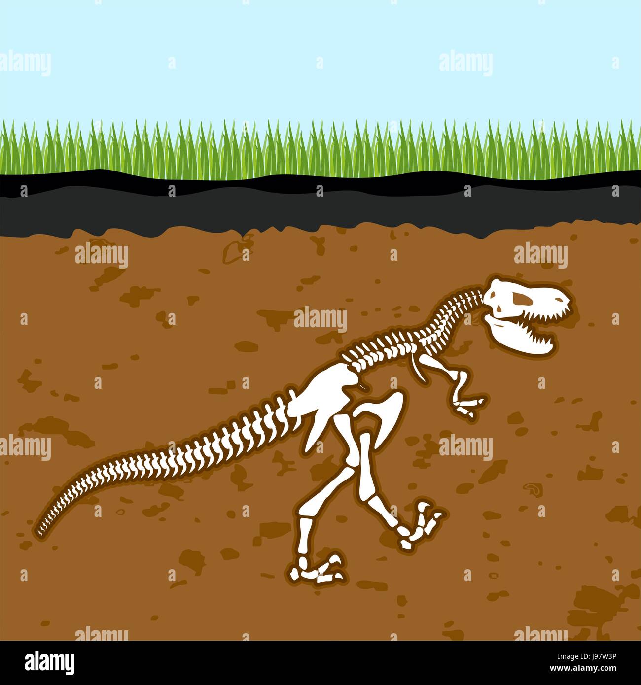 Squelette de Tyrannosaurus rex. Des os de dinosaure dans la terre. Ancien fossile animal redoutable. Tranche à travers le sol. Des fouilles archéologiques. La préhistoire Illustration de Vecteur