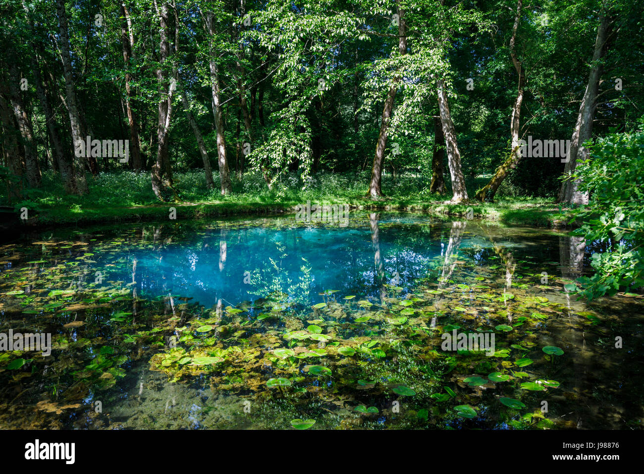 Les Fontaines bleues dans les jardins du château de Beaulon, Saint Dizant du Gua, Charente-Maritime, Poitou-Charentes, au sud-ouest de la France Banque D'Images