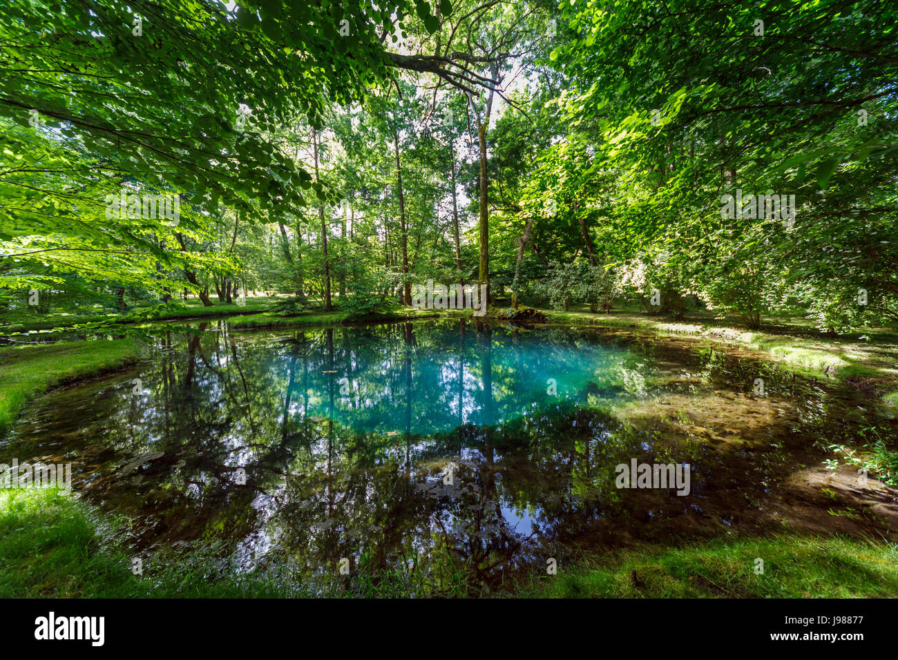 Les Fontaines bleues dans les jardins du château de Beaulon, Saint Dizant du Gua, Charente-Maritime, Poitou-Charentes, au sud-ouest de la France Banque D'Images