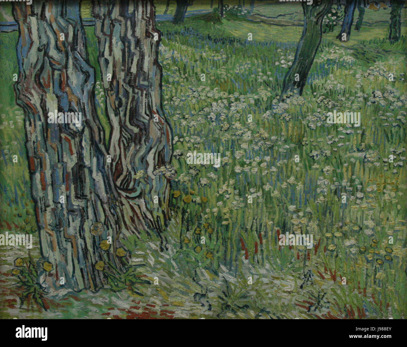 Les troncs des arbres dans l'herbe Banque D'Images