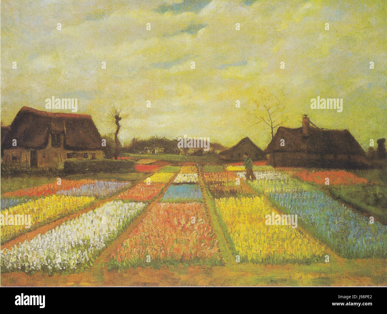 Van Gogh Tulpenfelder Banque D'Images