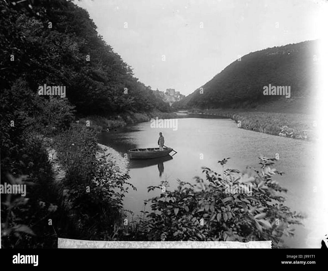 Plas Meudwy et ferry Cilgerran castle ANL3361155 Banque D'Images