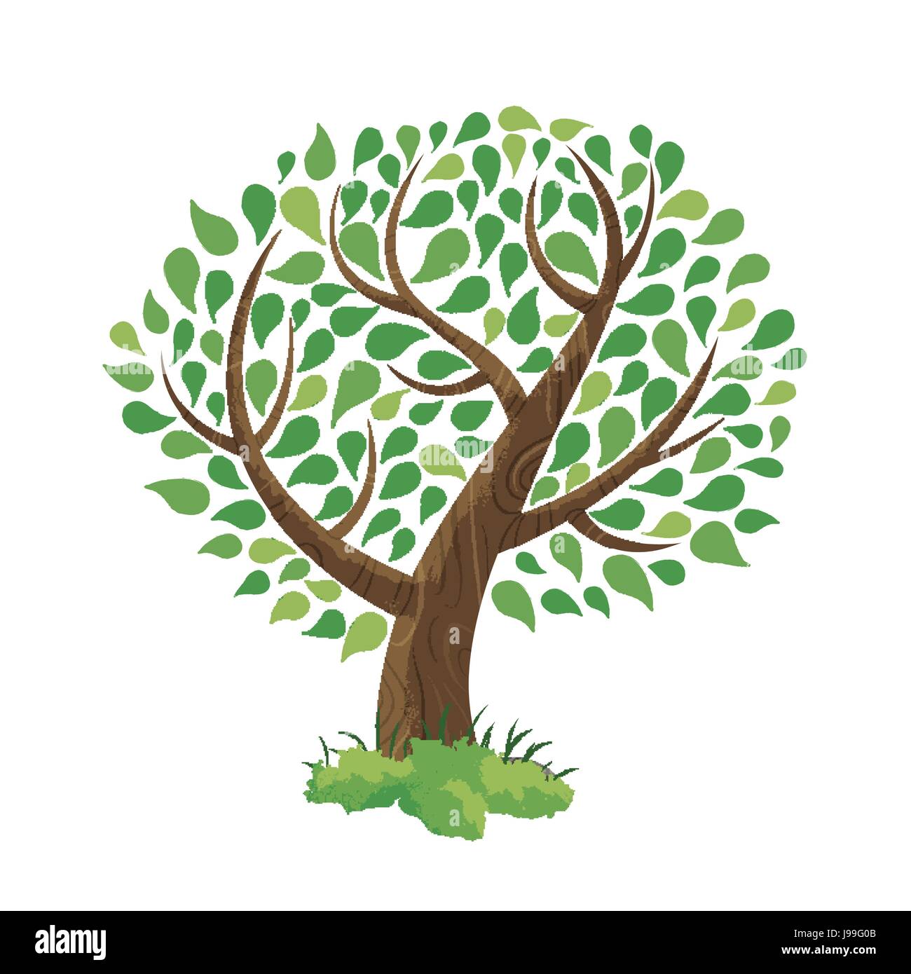 Arbre généalogique dessinés à la main, faits de feuillage vert feuille colorée de l'environnement art nature concept de soins. Vecteur EPS10. Illustration de Vecteur