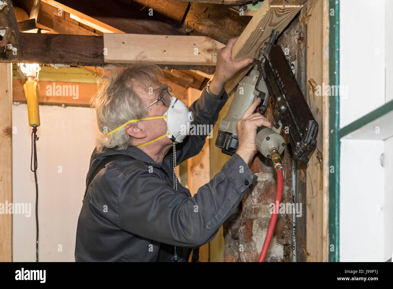 Prairieville, Michigan - un charpentier répare le mur d'un chalet qui avait été endommagé par les intempéries et les rongeurs. Banque D'Images