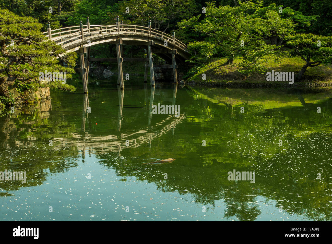 Pont à Engetsukyo Ritsurin - un jardin paysager à Takamatsu construit par les seigneurs féodaux locaux durant la période Edo. Considéré comme l'un des meilleurs g Banque D'Images