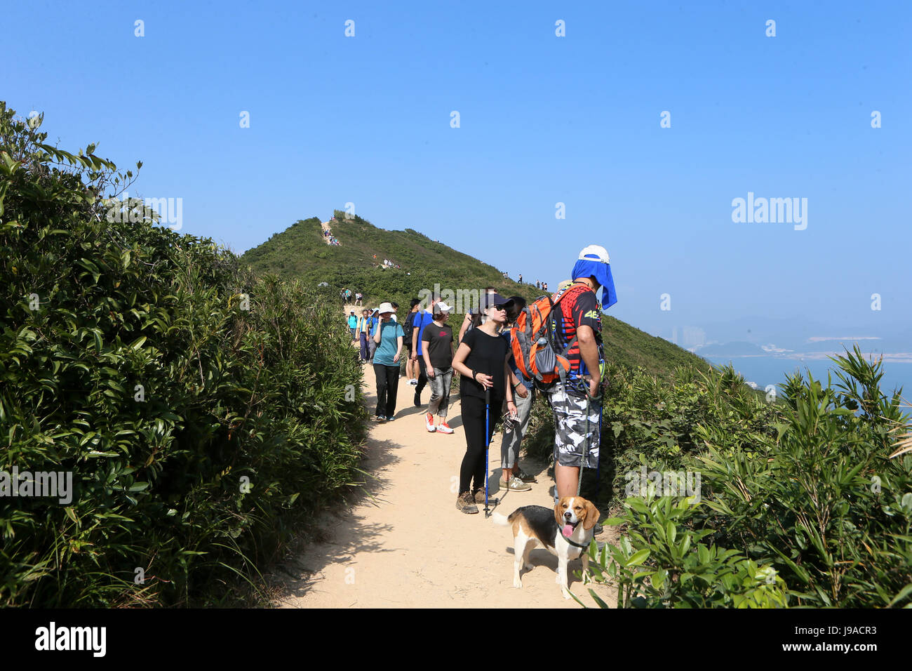 (170601) -- HONG KONG, le 1 juin 2017 (Xinhua) -- les gens profiter de paysages à l'arrière du Dragon à Hong Kong, Chine du sud, le 8 janvier 2017. (Xinhua/Li Peng)(mcg) Banque D'Images