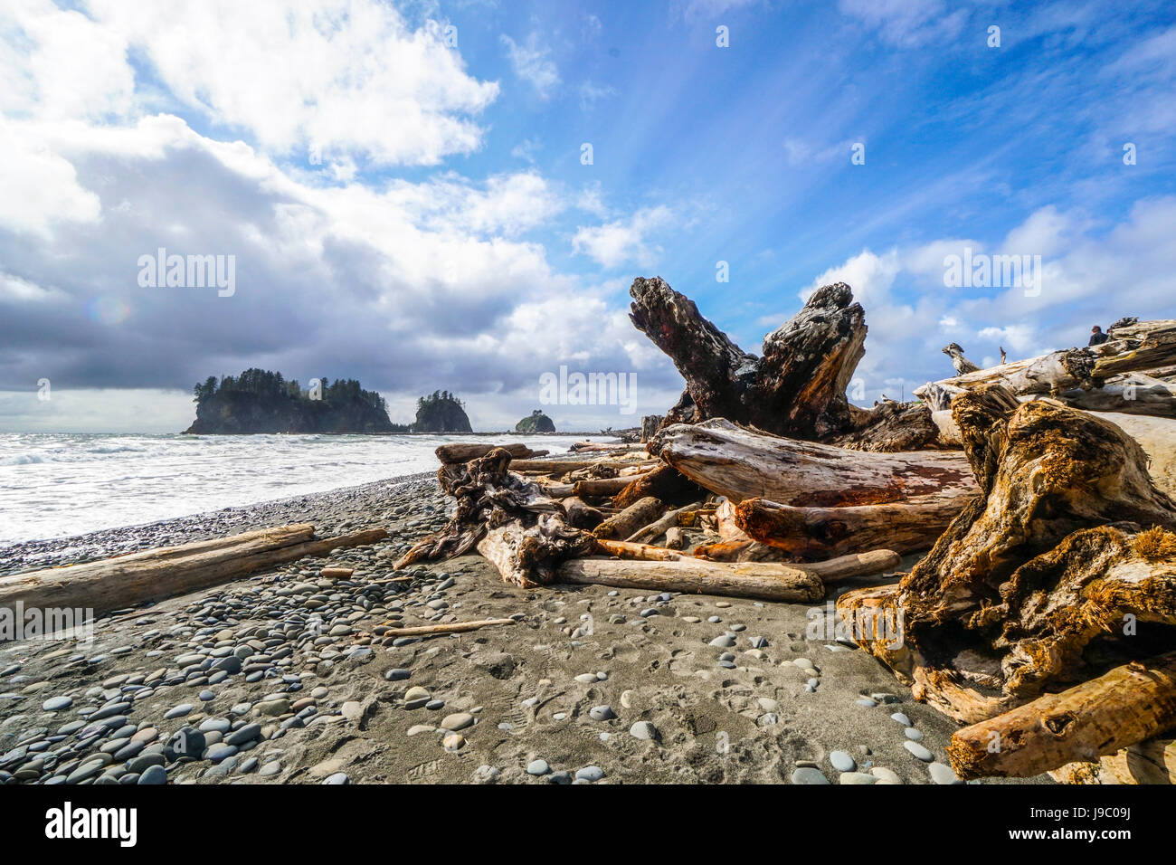 La magnifique plage de pousser dans la réserve indienne Quileute - Fourches - WASHINGTON Banque D'Images