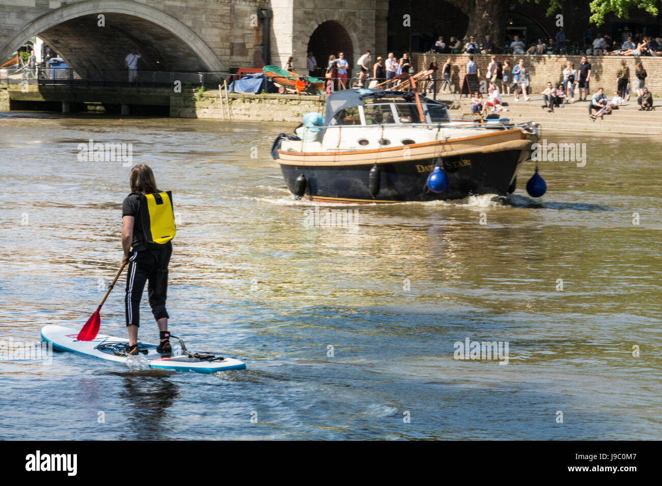 Un homme paddle sur la Tamise à Richmond, Surrey, UK Banque D'Images