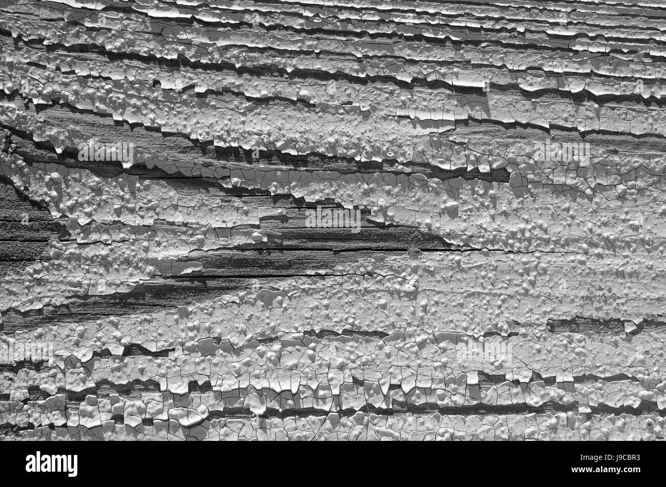 Le conseil de bois, texture en noir et blanc, des lignes horizontales, des morceaux de peinture blanche Banque D'Images