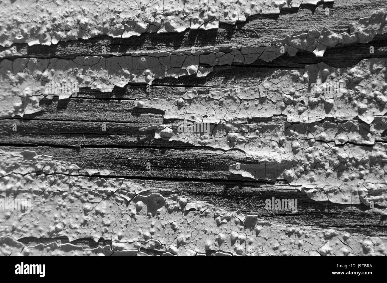 Le conseil de bois, texture en noir et blanc, des lignes horizontales, des morceaux de peinture blanche Banque D'Images