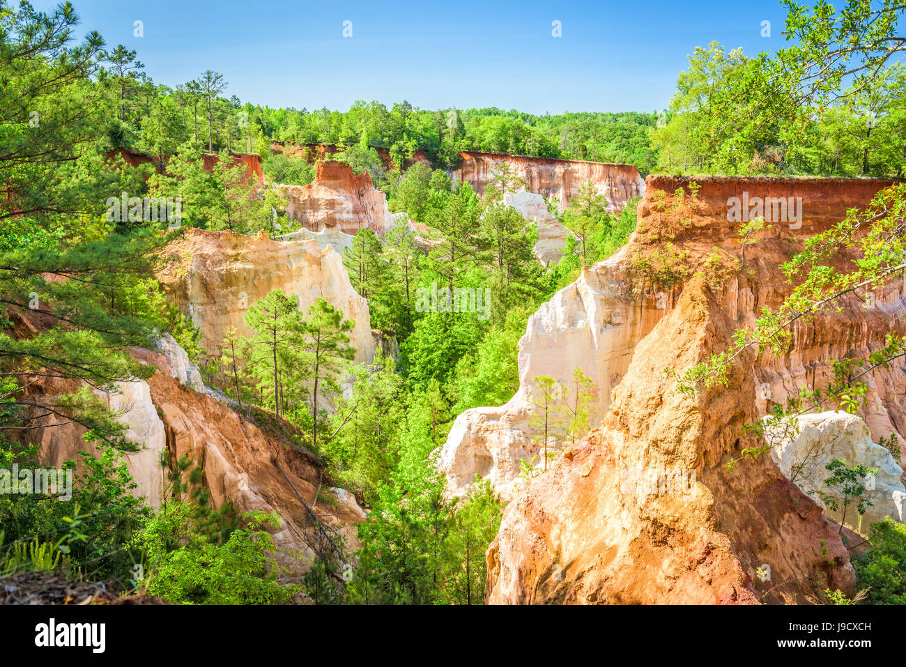 Providence Canyon Lumpkin, Georgia, USA. Banque D'Images