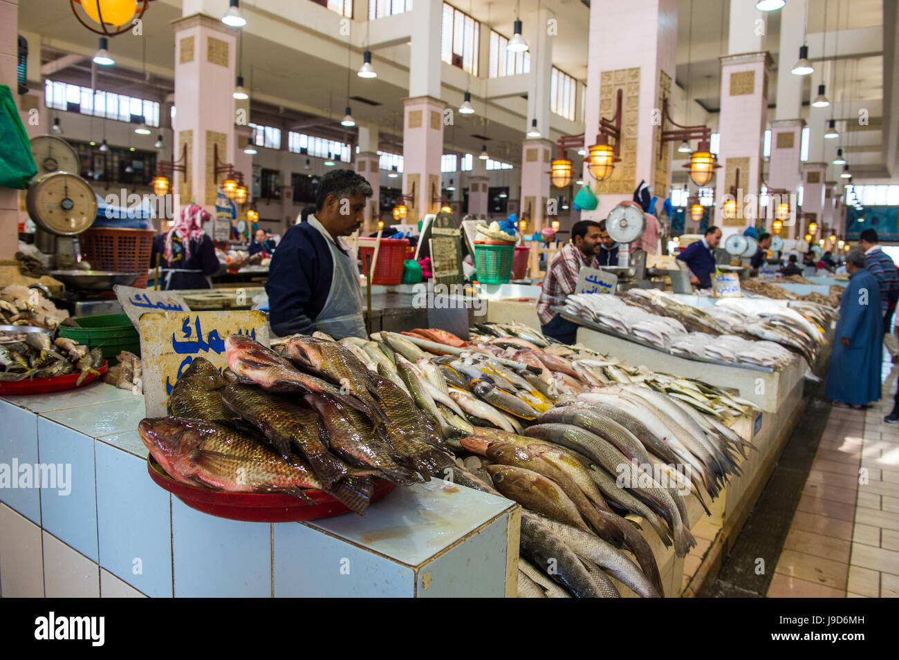 Pour la vente du poisson, le marché aux poissons, la ville de Koweït