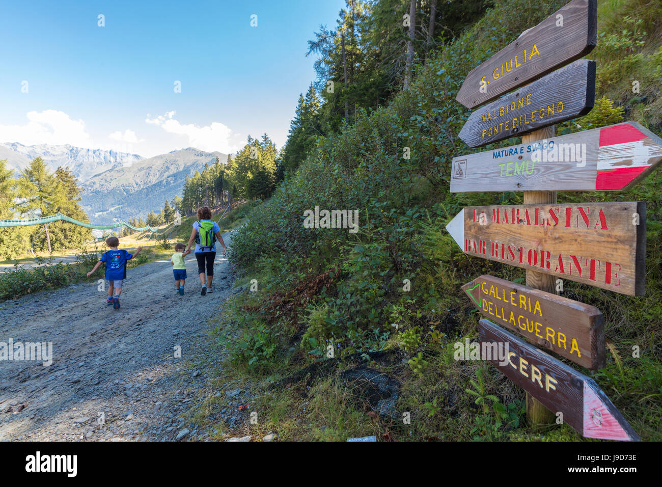 Les randonneurs à pied sur le chemin alpin entouré de bois, Ponte di Legno, Vallée Camonica, province de Brescia, Lombardie, Italie Banque D'Images