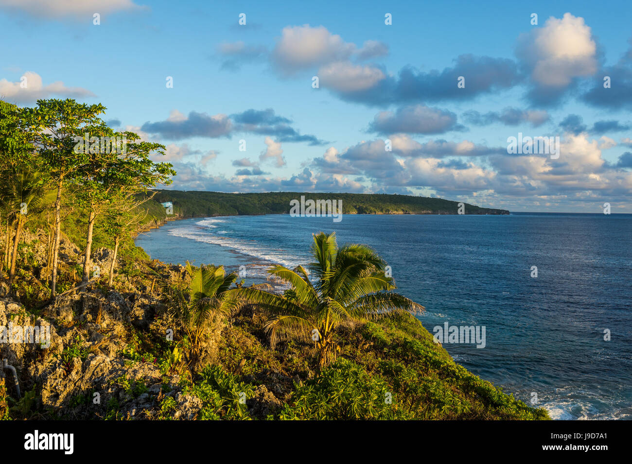 Vue sur la côte de Niue, Pacifique, Pacifique Sud Banque D'Images
