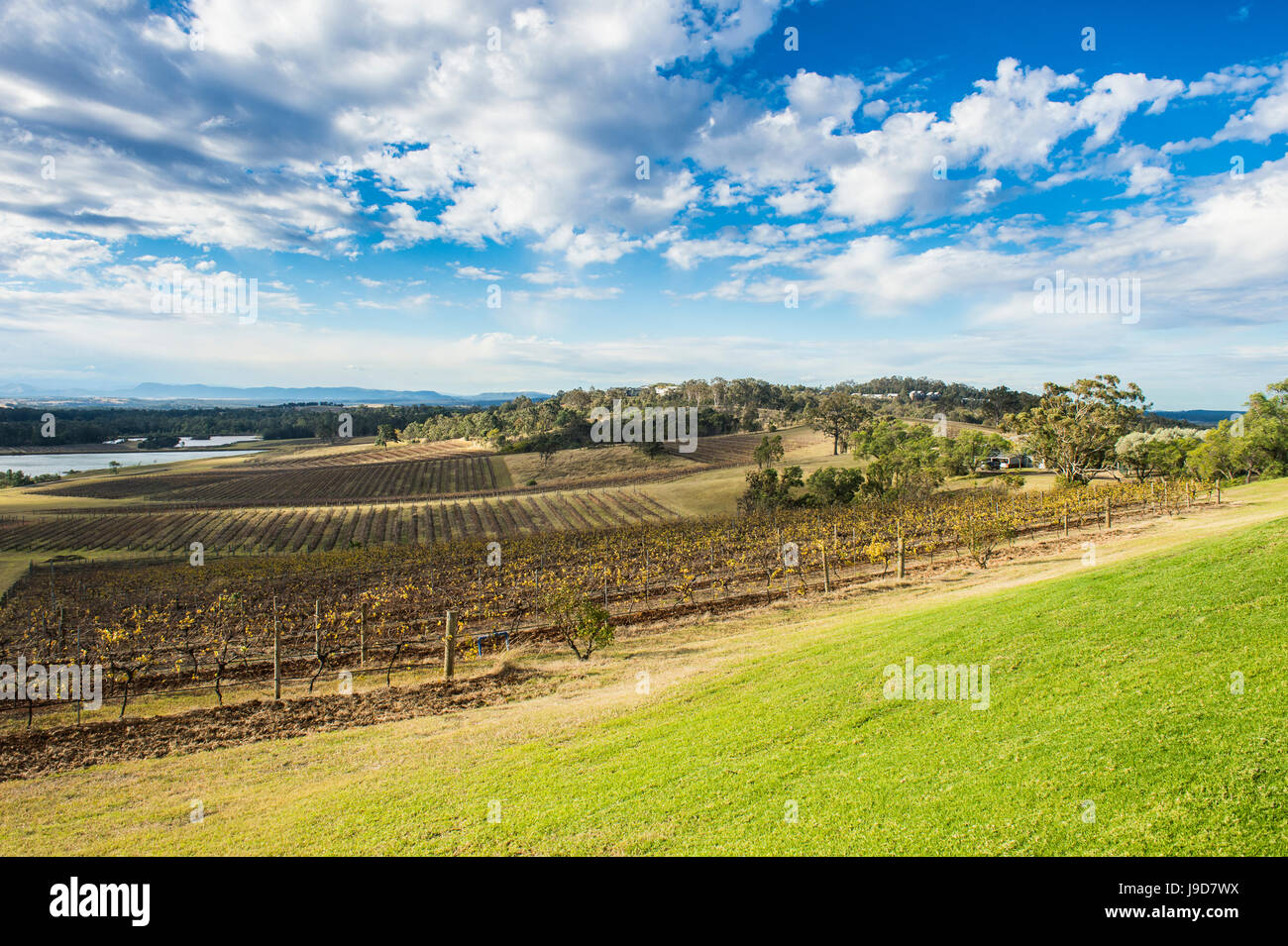 Vue sur la région viticole de la Hunter Valley, Nouvelle-Galles du Sud, Australie, Pacifique Banque D'Images