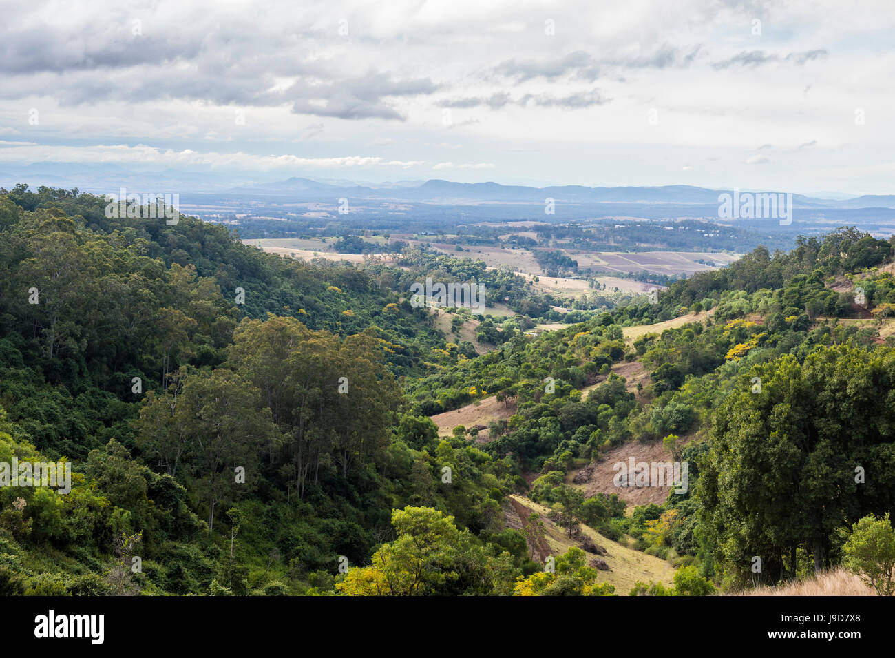 Vue sur la région viticole de la Hunter Valley, Nouvelle-Galles du Sud, Australie, Pacifique Banque D'Images