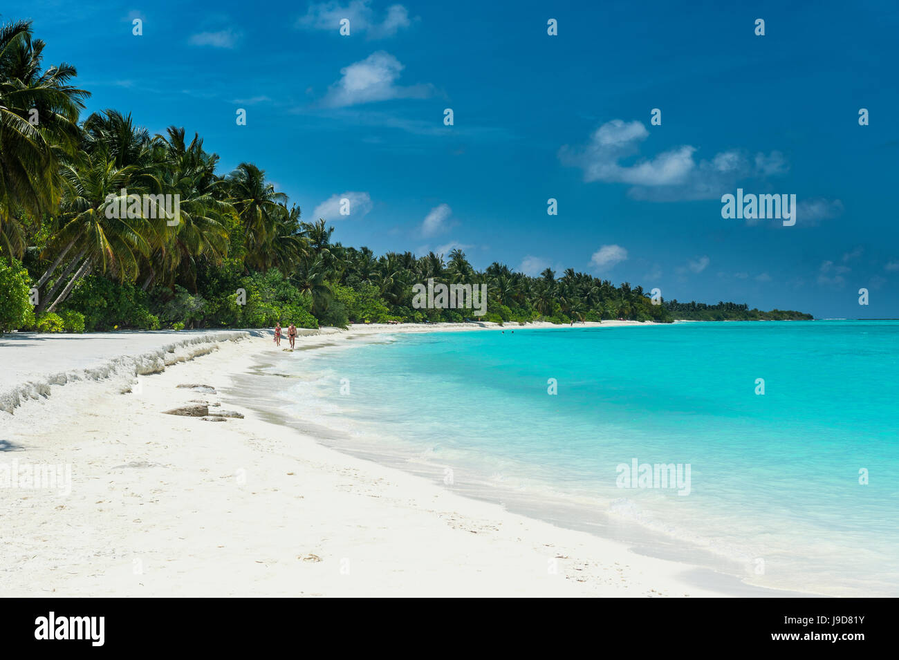 Plage de sable blanc et eau turquoise, Sun Island Resort, l'île de Dhiffushi, Ari atoll, Maldives, océan Indien, Asie Banque D'Images