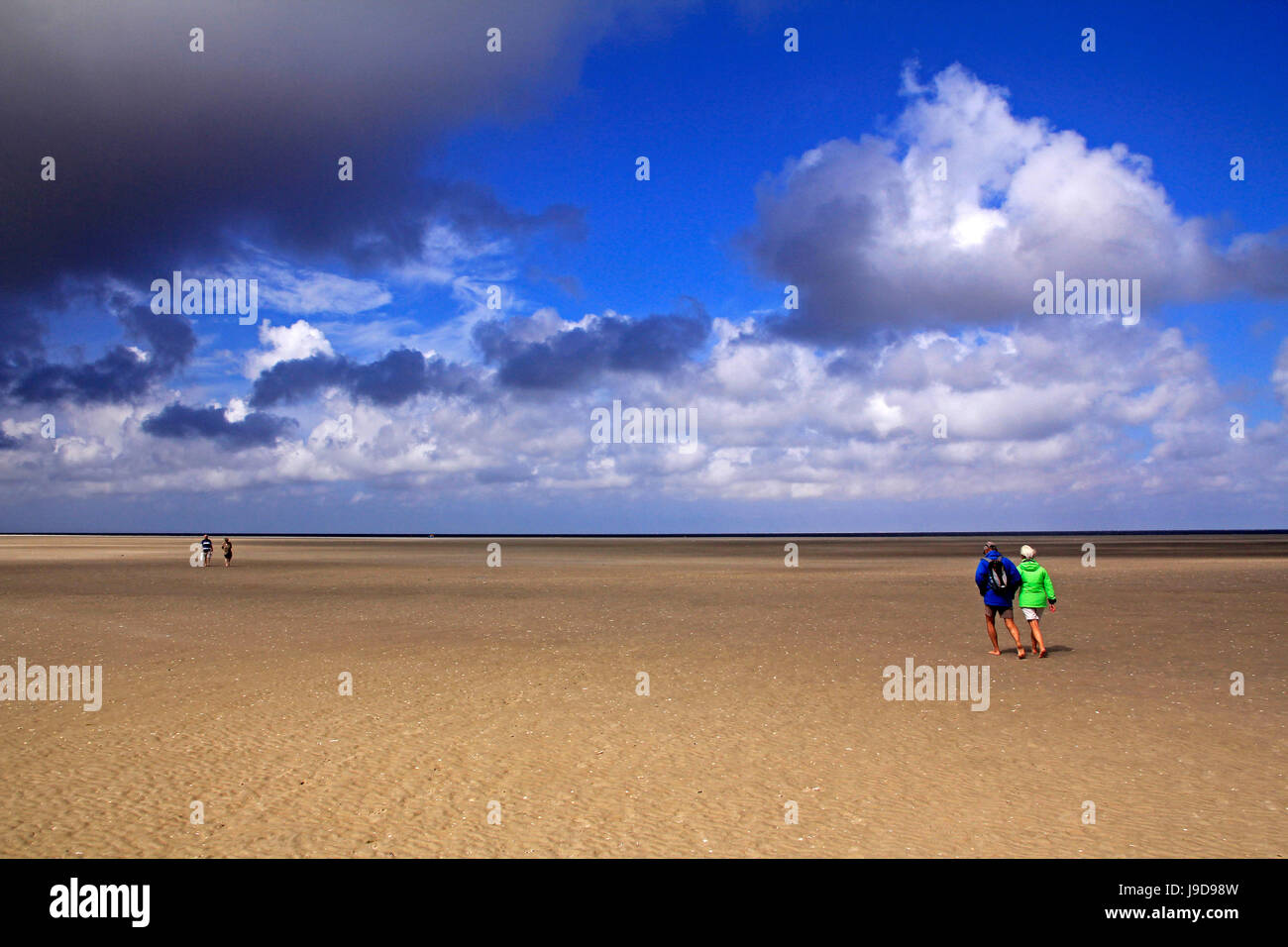 Parc National de la mer des Wadden, Büsum, Schleswig-Holstein, Allemagne, Europe Banque D'Images