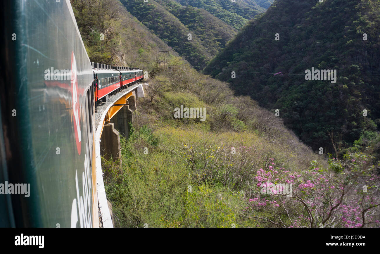 Le chemin de fer de Fuerte El Chepe à Creel le long du canyon du cuivre, au Mexique, en Amérique du Nord Banque D'Images