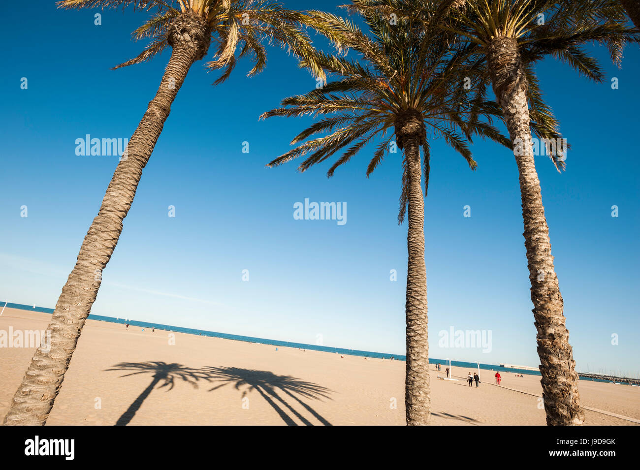 La plage de Malvarrosa, Valencia, Espagne, Europe Banque D'Images