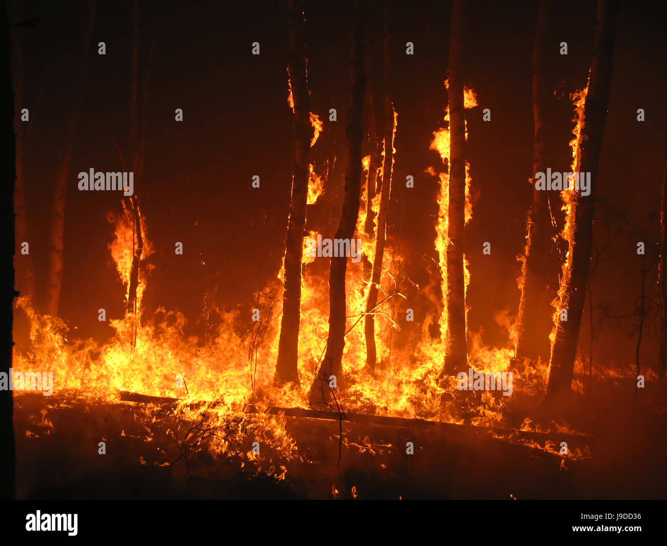 Incendie, incendie, les flammes, les flammes, l'enfer, catastrophe, incendie, Sparkle, brûler, Banque D'Images