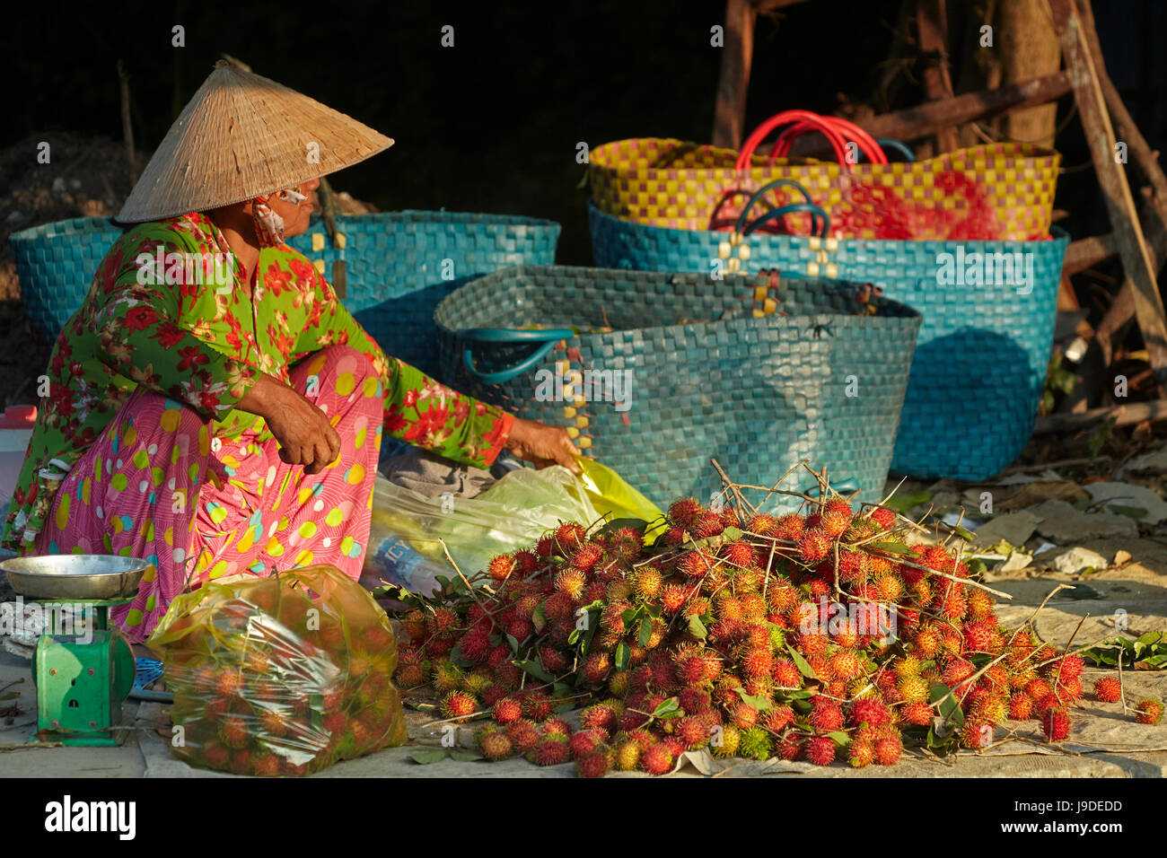 Femme sellling rambutan fruit, Vinh Long, Delta du Mékong, Vietnam Banque D'Images