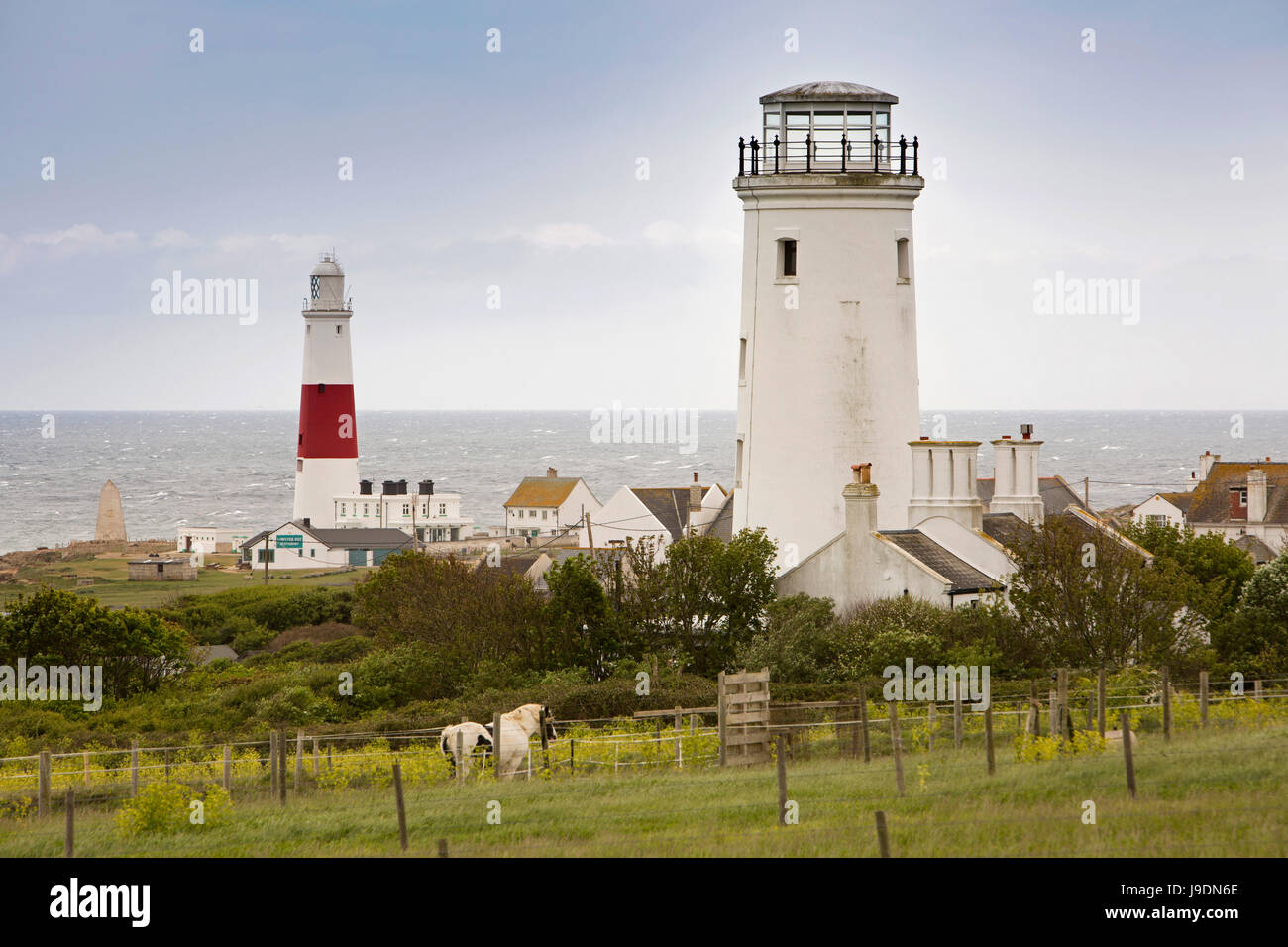 Royaume-uni l'Angleterre, dans le Dorset, Portland Bill lighthouse et de travail, vieux phare de Bonaventure blanc converti à l'Observatoire d'oiseaux Banque D'Images