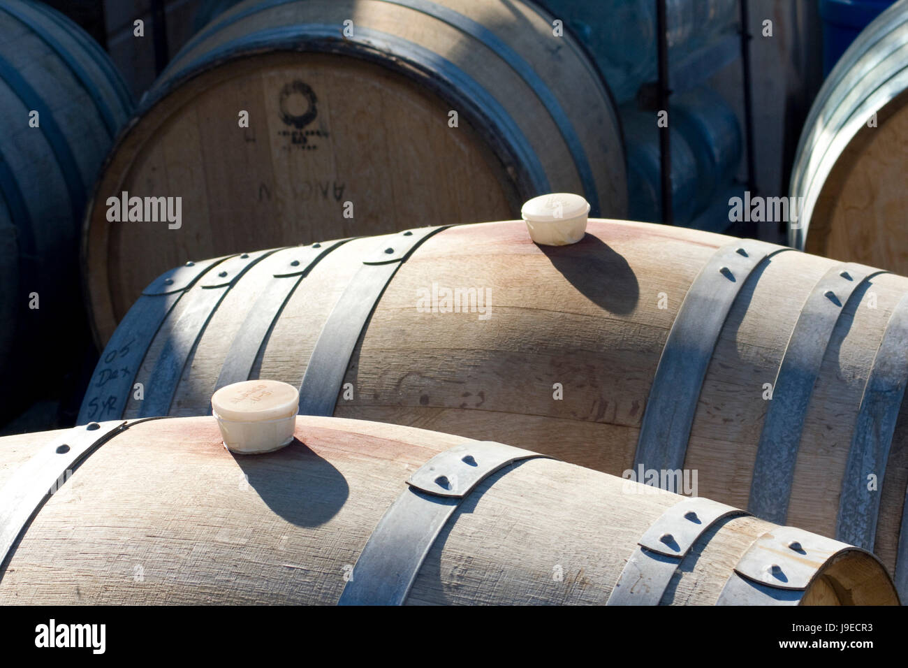 Le bois, le vin, la bière, cave, Keg, rhum, vin, bois, chêne, Toscane, bière, bouteille, Banque D'Images