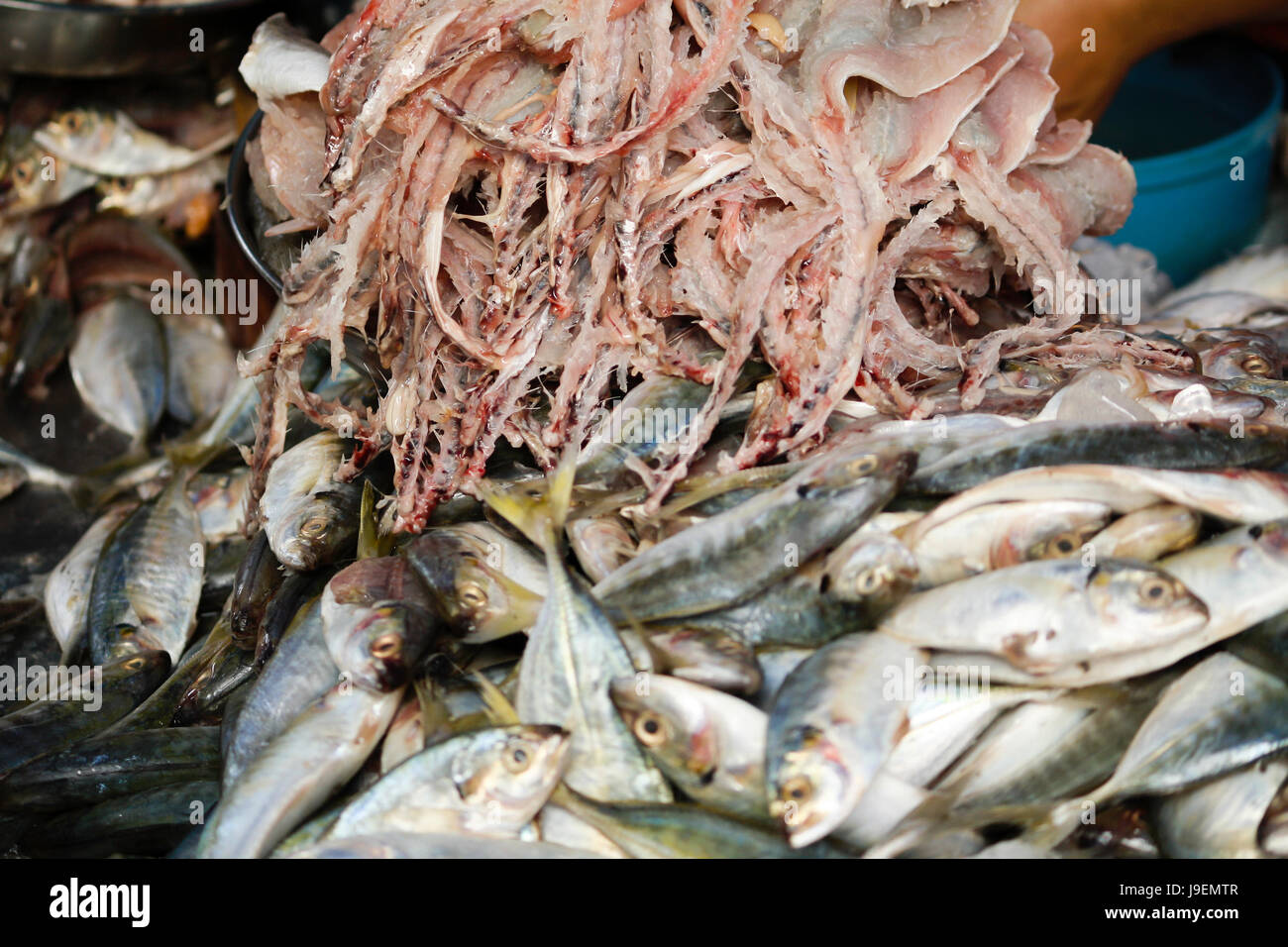 Filet de poisson du marché à Freshy en Thaïlande Banque D'Images