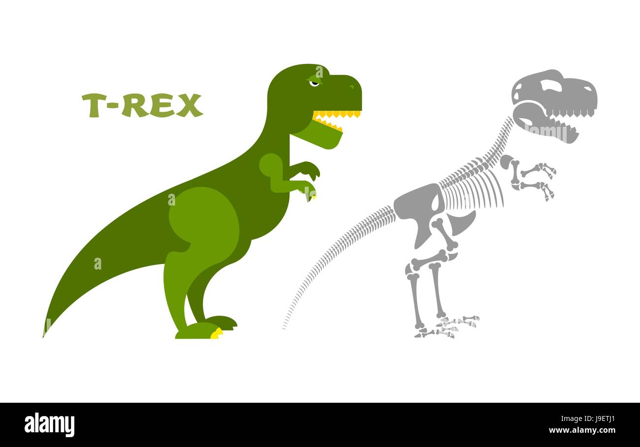 Squelette de dinosaure Tyrannosaurus. Les os du crâne et t-Rex. Ancien animal Monster. Lézard préhistorique. Prédateur du jurassique. Creepy dentelée et ana Illustration de Vecteur