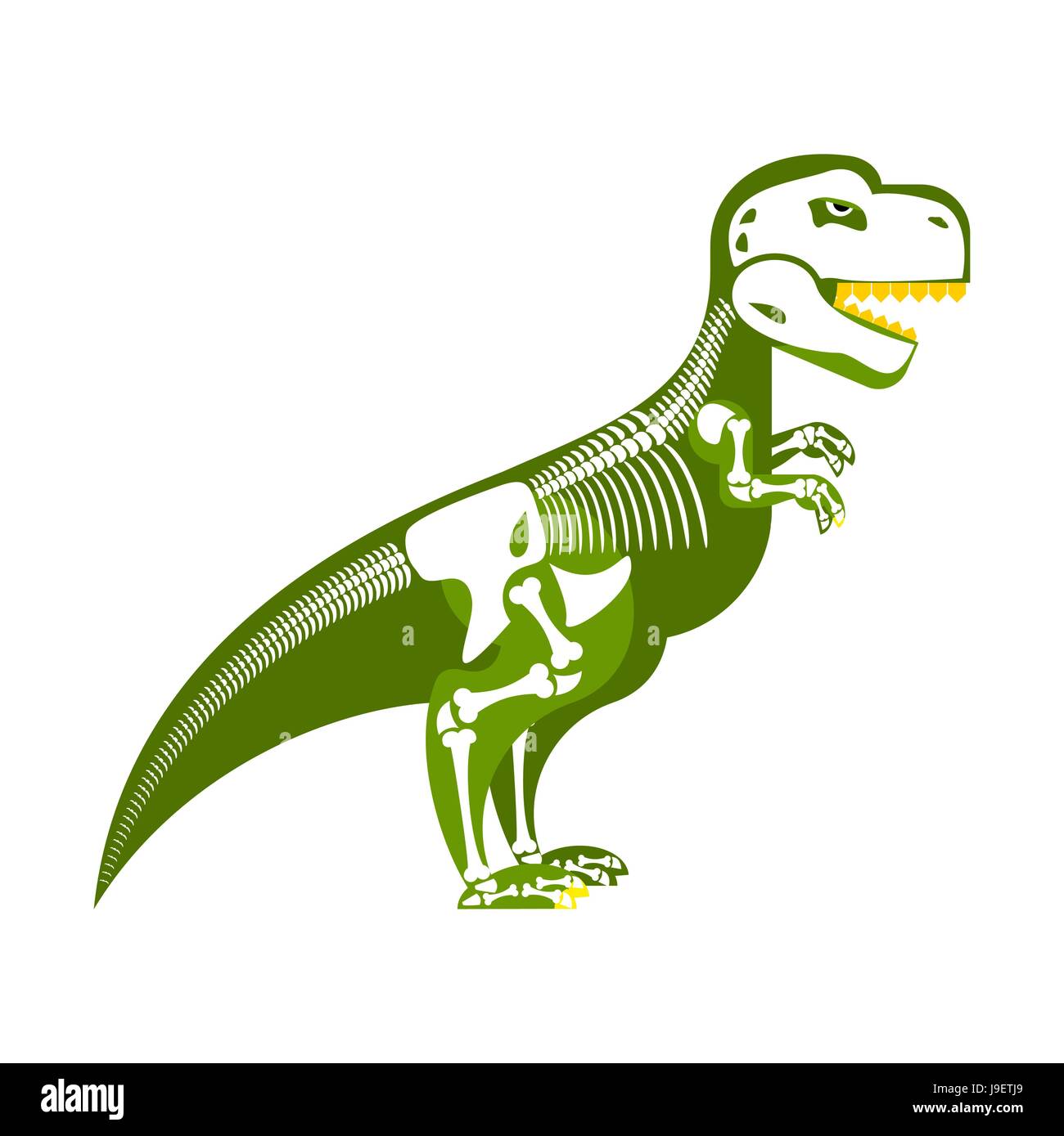 Squelette de dinosaure. Jusqu'os sur mon corps. T-Rex et du crâne. Tyrannosaurus monstre préhistorique de rapaces prédateurs Illustration de Vecteur