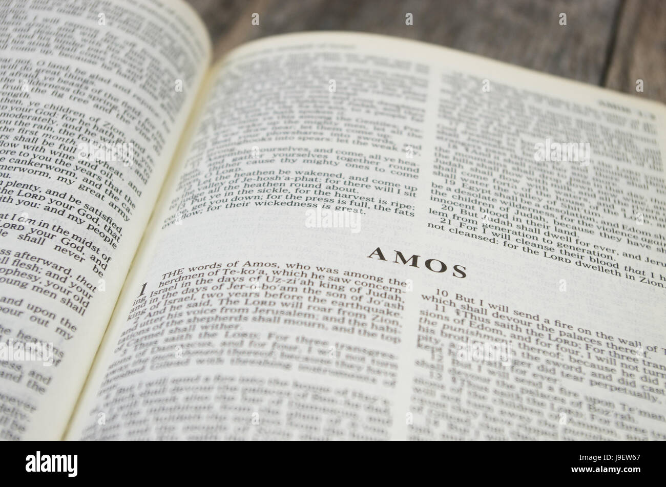 Page de titre pour le livre d'Amos dans la Bible - King James Version Banque D'Images