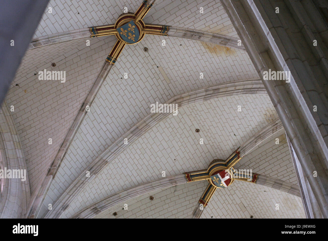 Basilique Notre-Dame de Cléry à Cléry-Saint-André (France). Banque D'Images