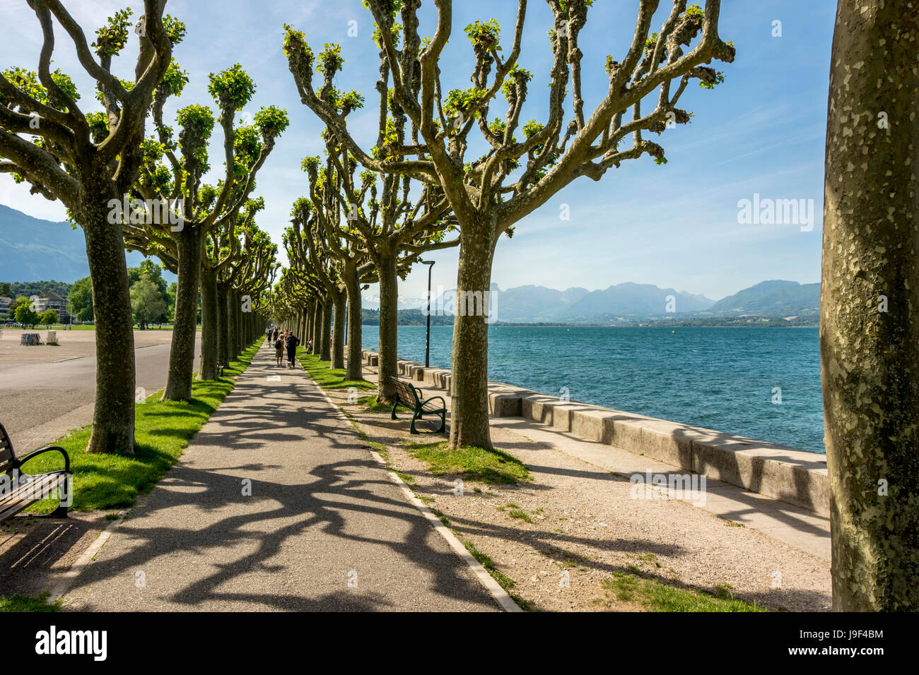 Chemin dans Aix-les-Bains sur les rives du lac du Bourget. Savoie. France Banque D'Images