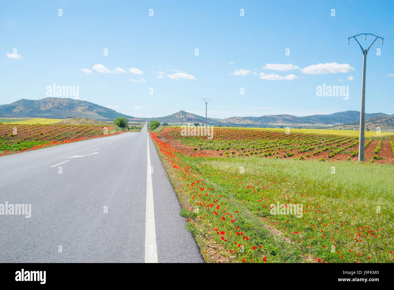 Route de Los Cortijos. Fuente el Fresno, Ciudad Real province, Castilla La Mancha, Espagne. Banque D'Images
