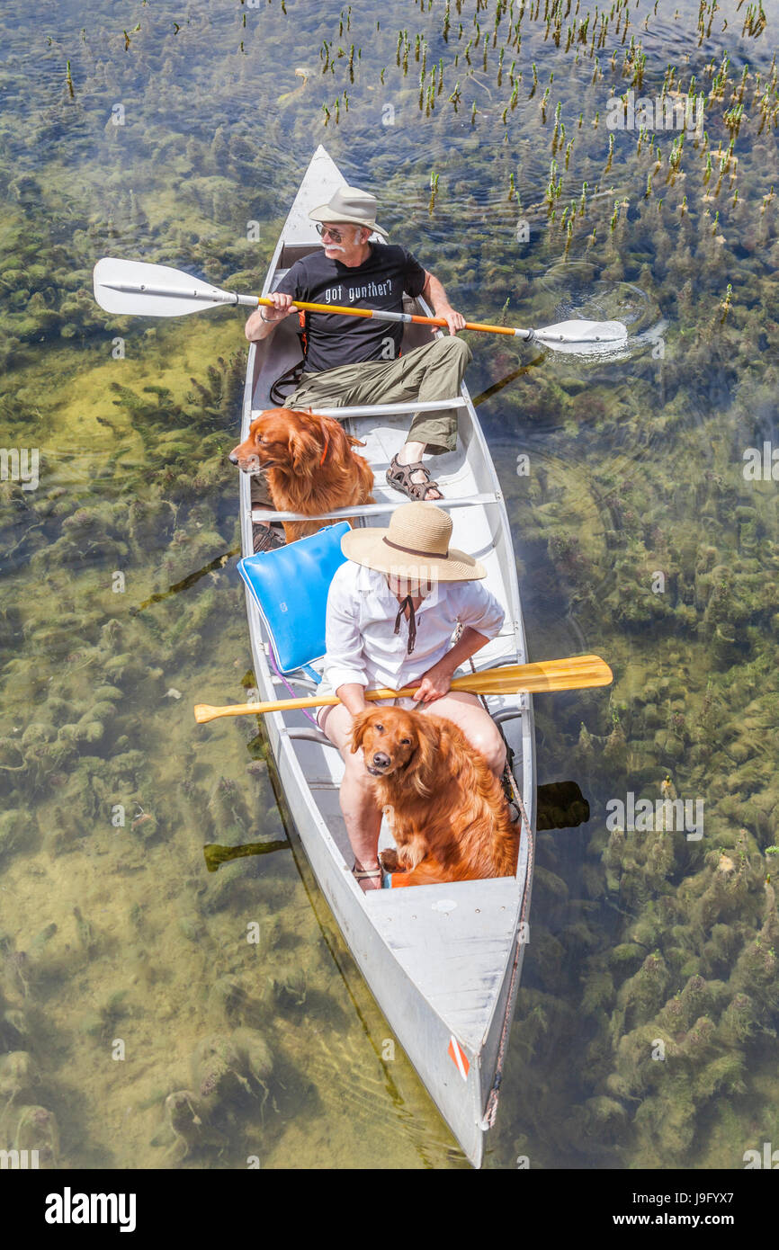 Couple partager canoë avec leurs chiens à Twin Lakes dans la région de Mammoth Lakes Basin Banque D'Images