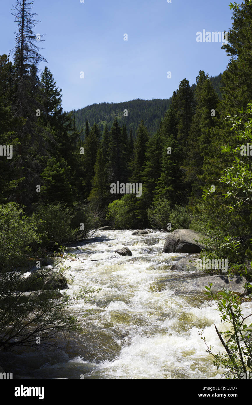 Paysage de l'eau en scène sauvage mémorable de la zone du bassin du Rocky Mountain National Park. Banque D'Images