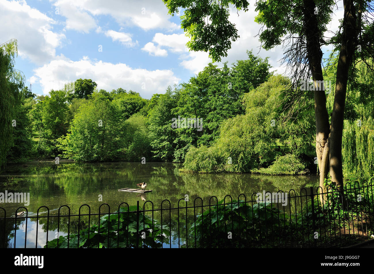 Lac à Waterlow Park, Highgate, Londres UK Banque D'Images