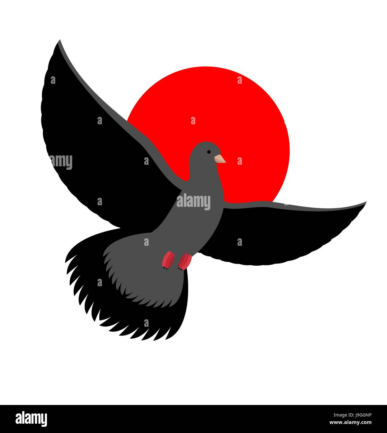 Colombe noir symbole de tristesse et de deuil. Oiseau Noir volant rouge sur le coucher du soleil. Envergure est de pigeon Illustration de Vecteur