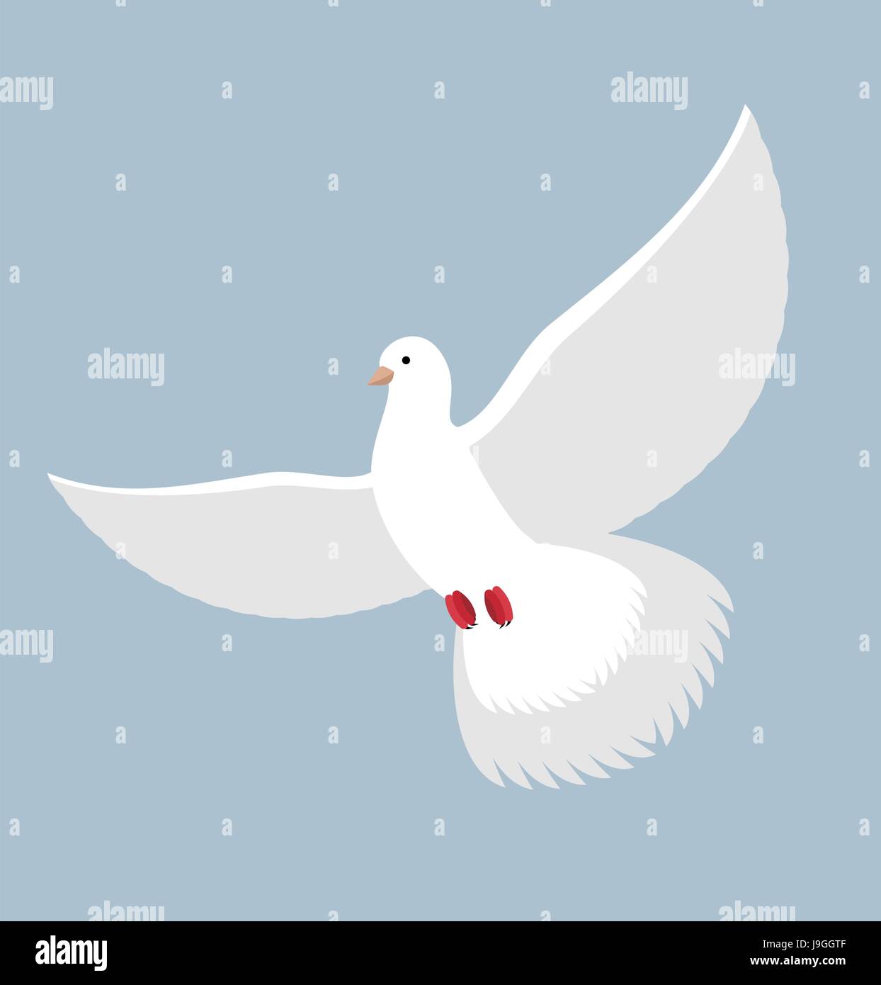 Colombe Blanche Flying Pigeon Blanc Avec Des Ailes D