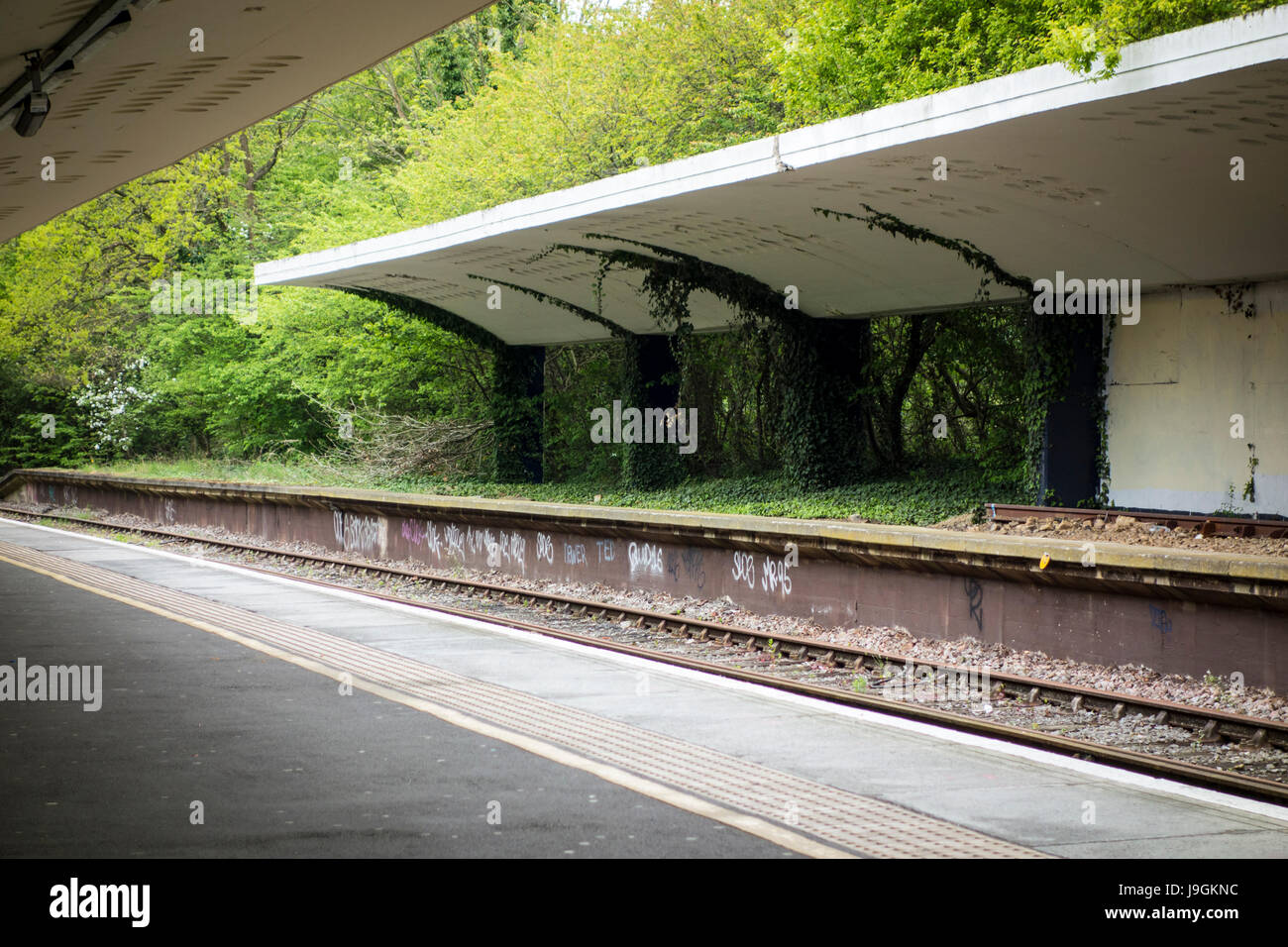 La plateforme de la gare désaffectée, Chessington gare du Sud, aurait été l'intermédiaire pour les trains venant de la gare mais la ligne a été annulée à cause de la SECONDE GUERRE MONDIALE. Banque D'Images