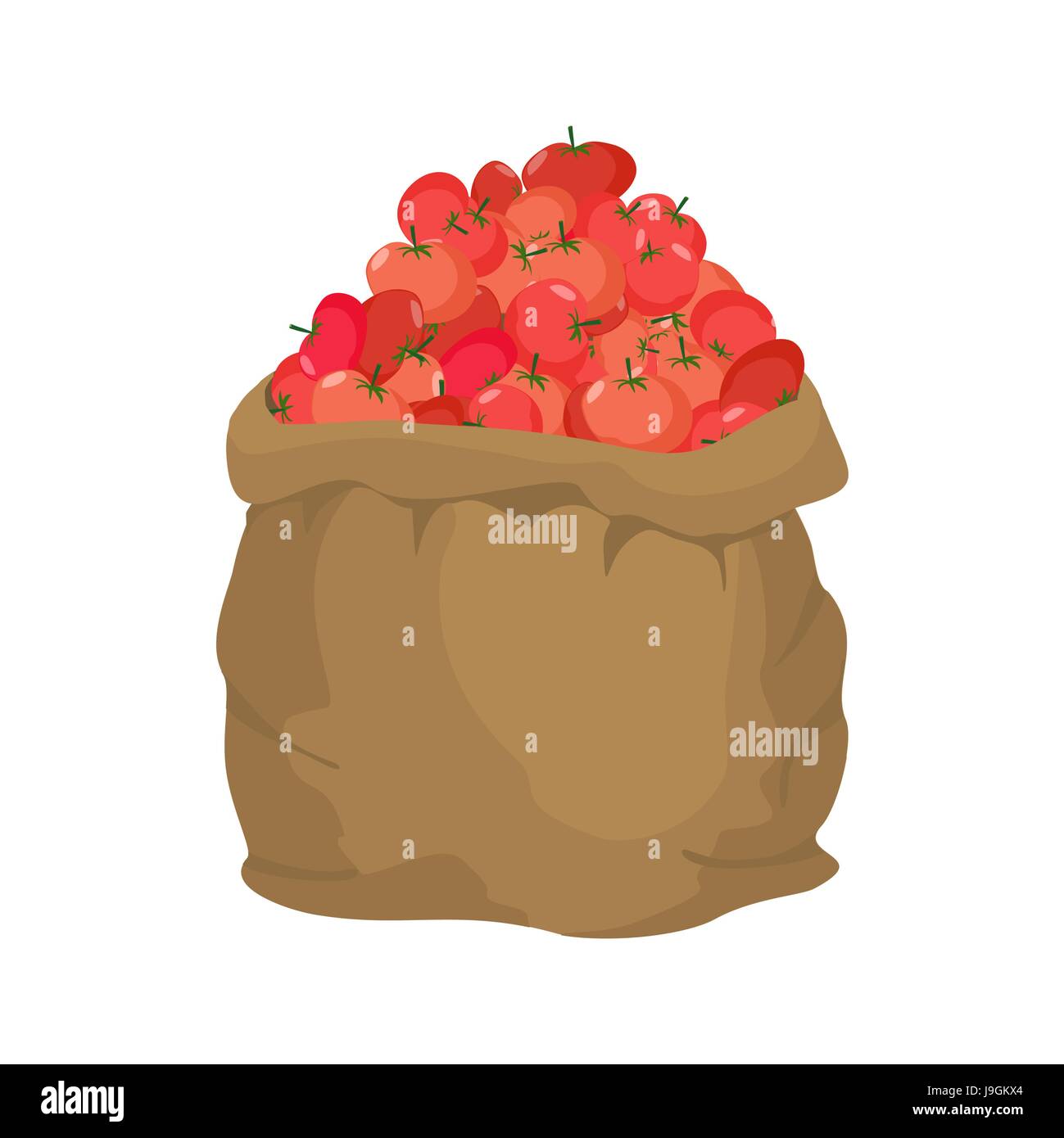 Sac de toile tomate. sac de légumes. grande ferme sur des cultures de tomates sackful. Illustration de Vecteur