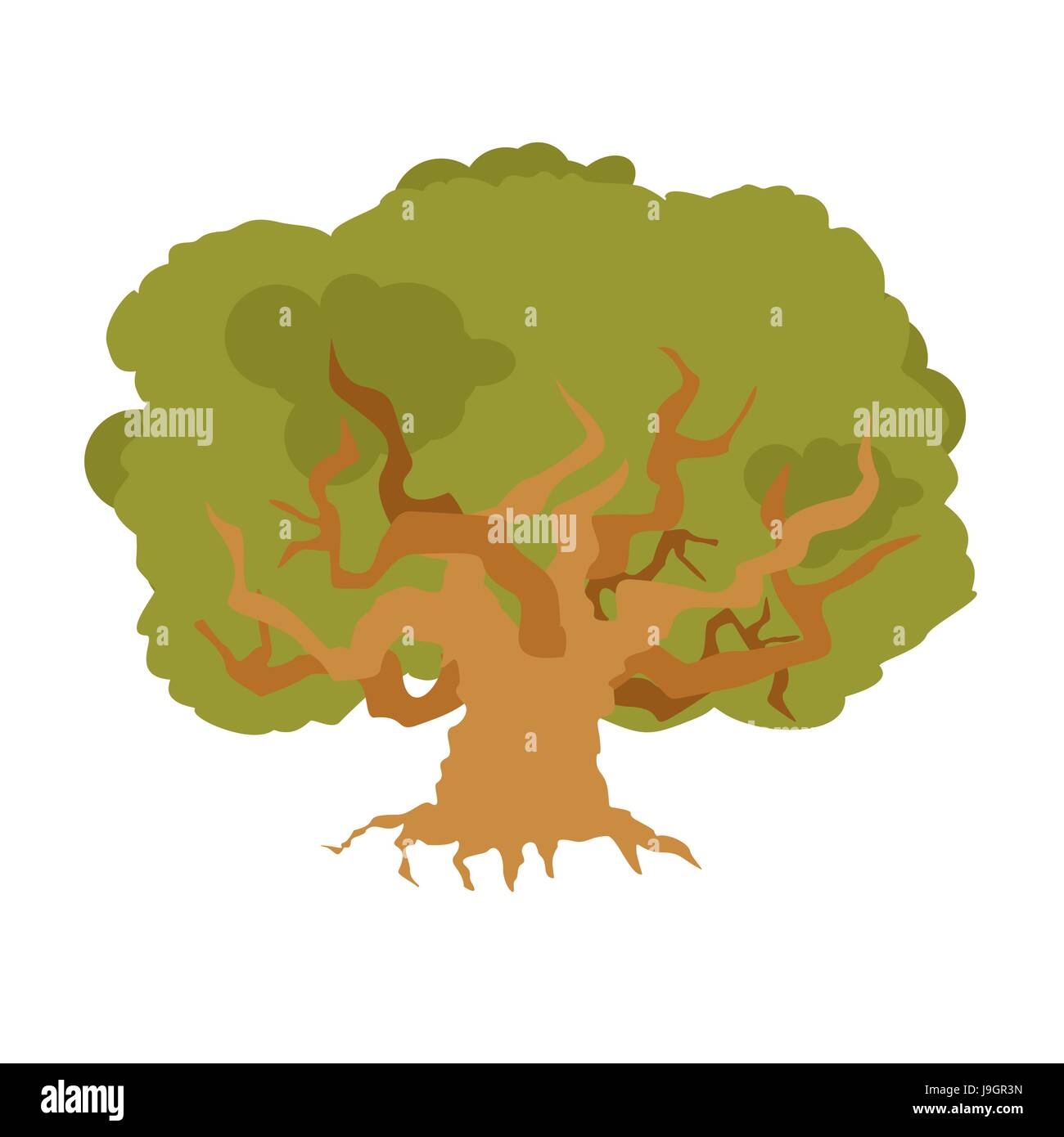 Chêne isolé. grand vieil arbre. Bush énorme Illustration de Vecteur