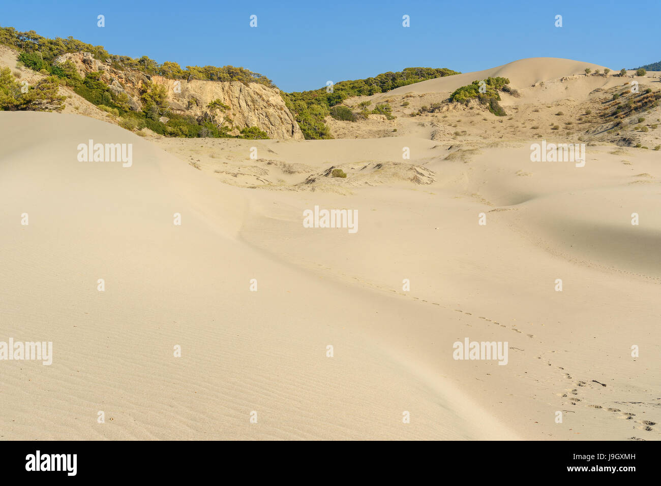 Dunes de sable blanc sur la plage de Patara. La province d'Antalya. La Turquie Banque D'Images