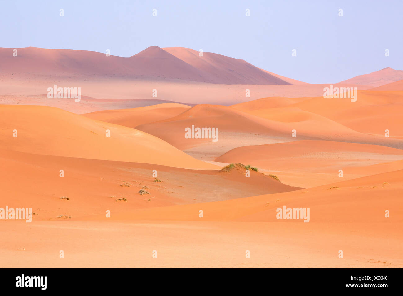 Le désert du Namib en Namibie, Afrique Banque D'Images