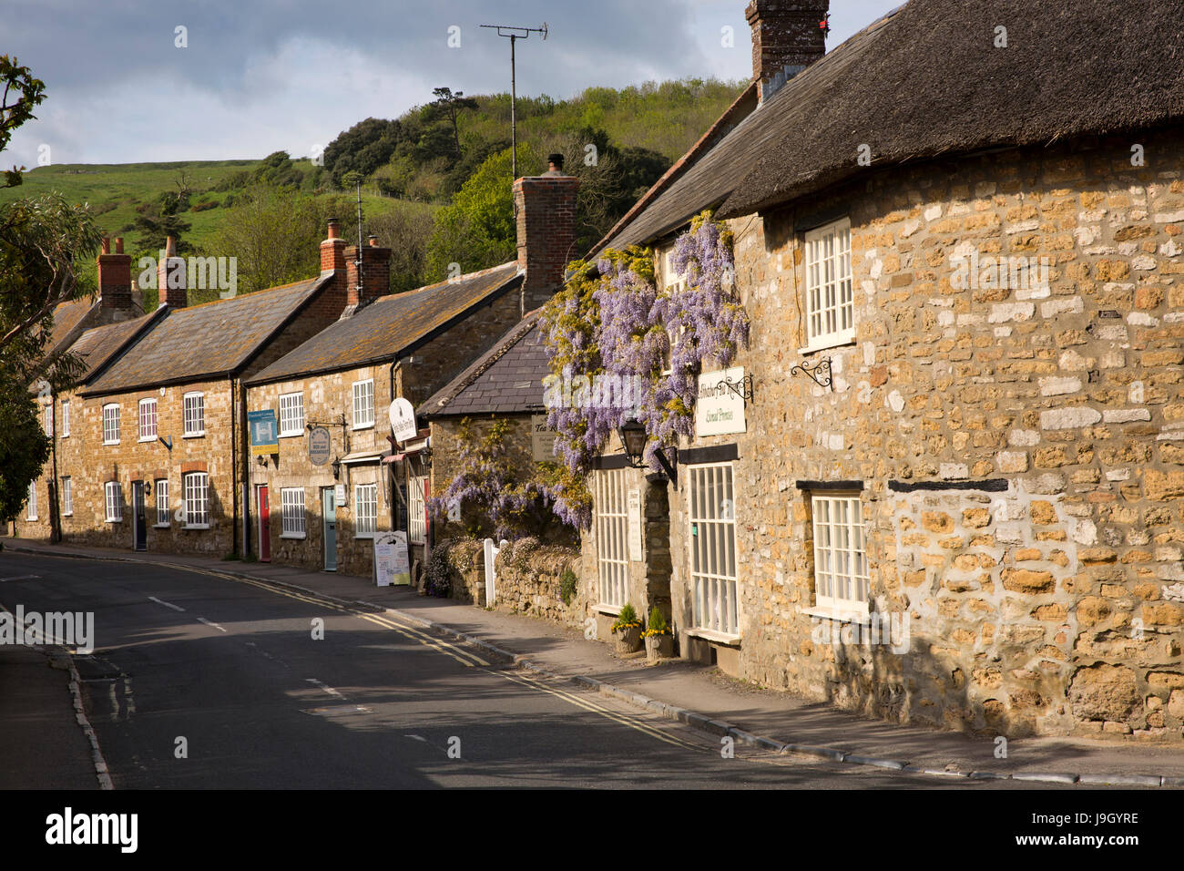 Royaume-uni l'Angleterre, dans le Dorset, Abbotsbury, Market Street, wisteria clad salon de thé et magasin du village Banque D'Images