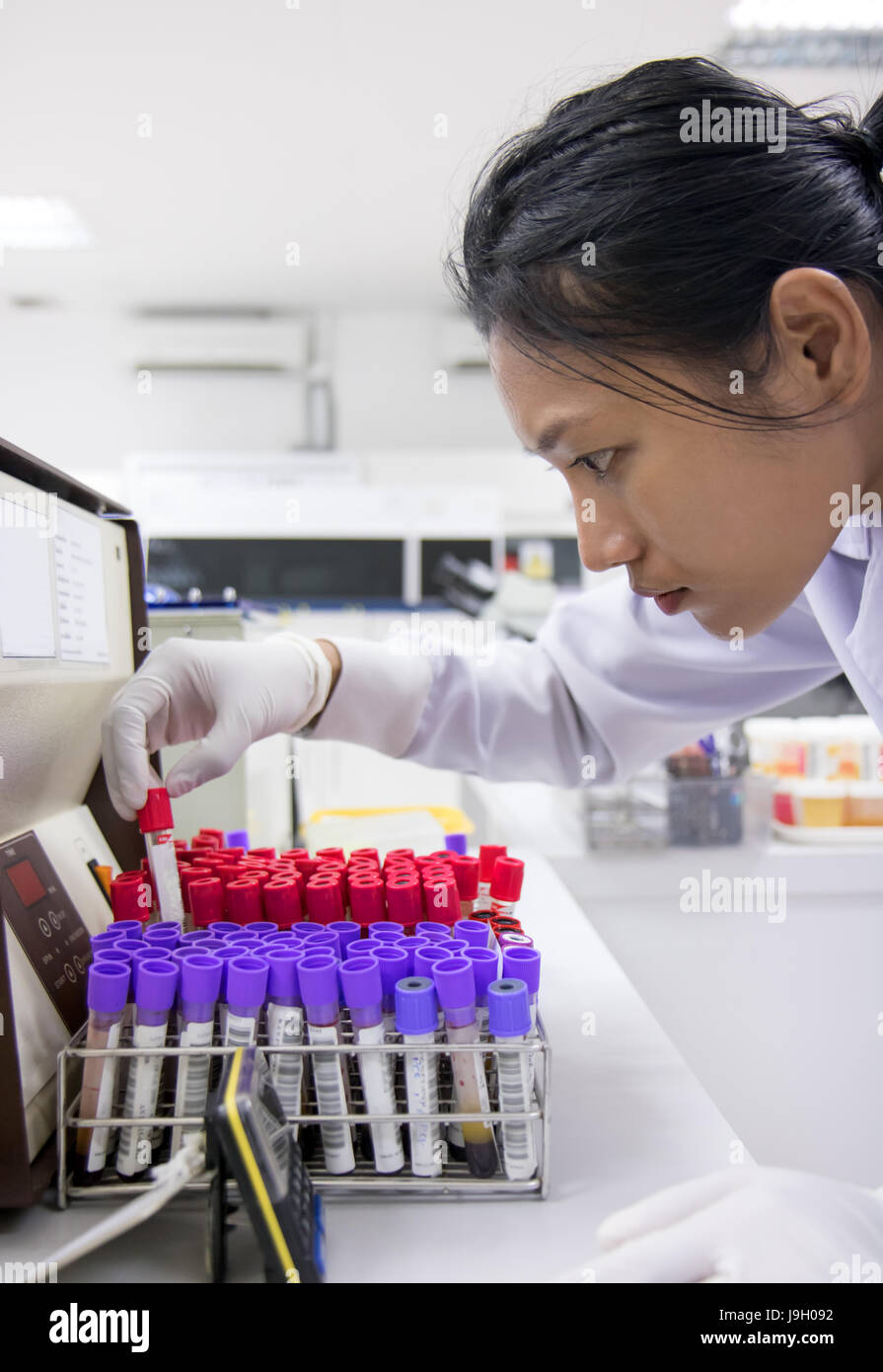 Femme travaillant avec des tubes de sang dans un laboratoire d'hôpital. Le médecin vérifie le sang des patients. Banque D'Images