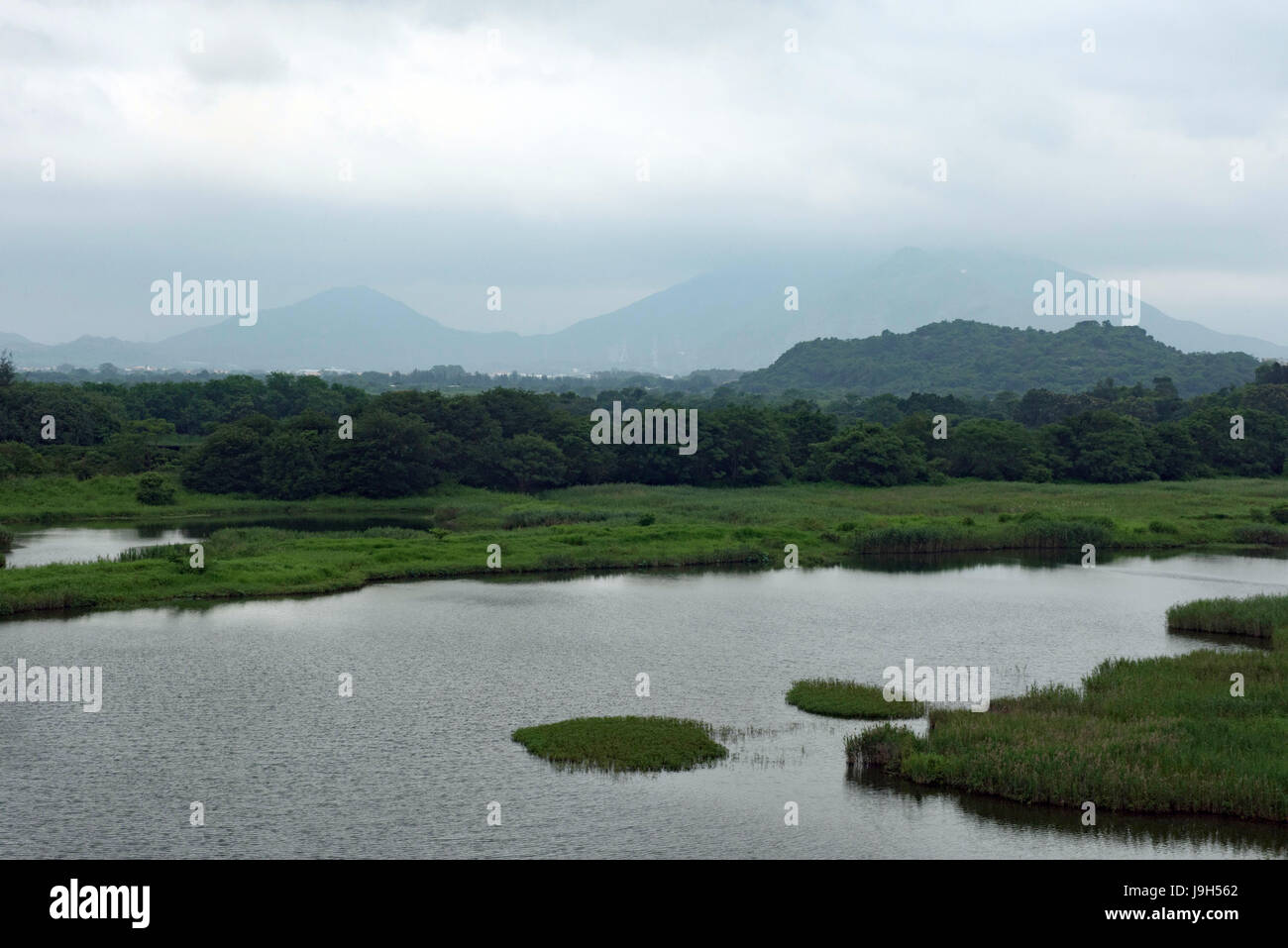 Hong Kong, Chine. 22 mai, 2017. Le Wetland Park de Hong Kong est vu à Hong Kong, en Chine, le 22 mai 2017. 1 juillet 2017 marque le 20e anniversaire de la déclaration de Hong Kong à la patrie. Au cours des 20 dernières années, Hong Kong gardés sur la protection de son environnement écologique. Credit : Liu Yun/Xinhua/Alamy Live News Banque D'Images